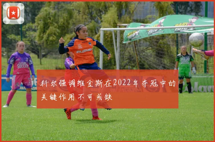 科尔强调维金斯在2022年夺冠中的关键作用不可或缺