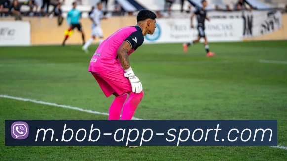 App Interface Preview