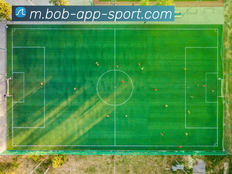 BOB体育APP 封面图